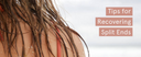 Tips for Recovering Split Ends